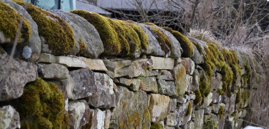 Drystone walling repair and construction in Northumberland