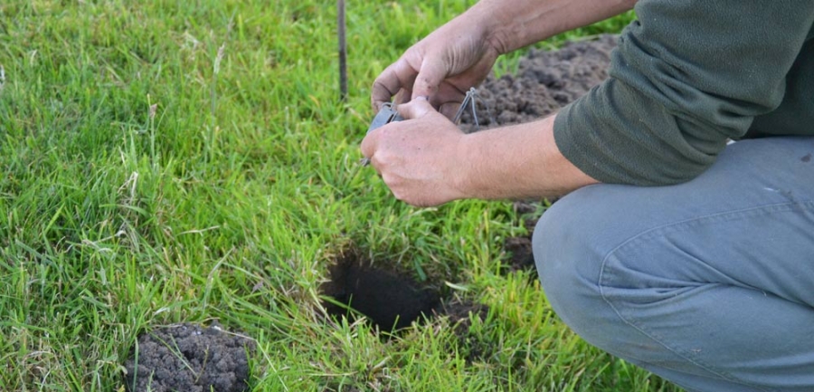 Professional vermin and mole control in Northumberland